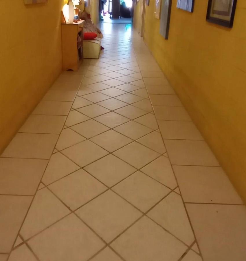 Girassois Da Barra Bed & Breakfast Florianopolis Ngoại thất bức ảnh